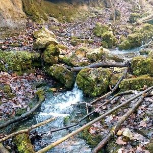 Meet your Posher, Kenzy